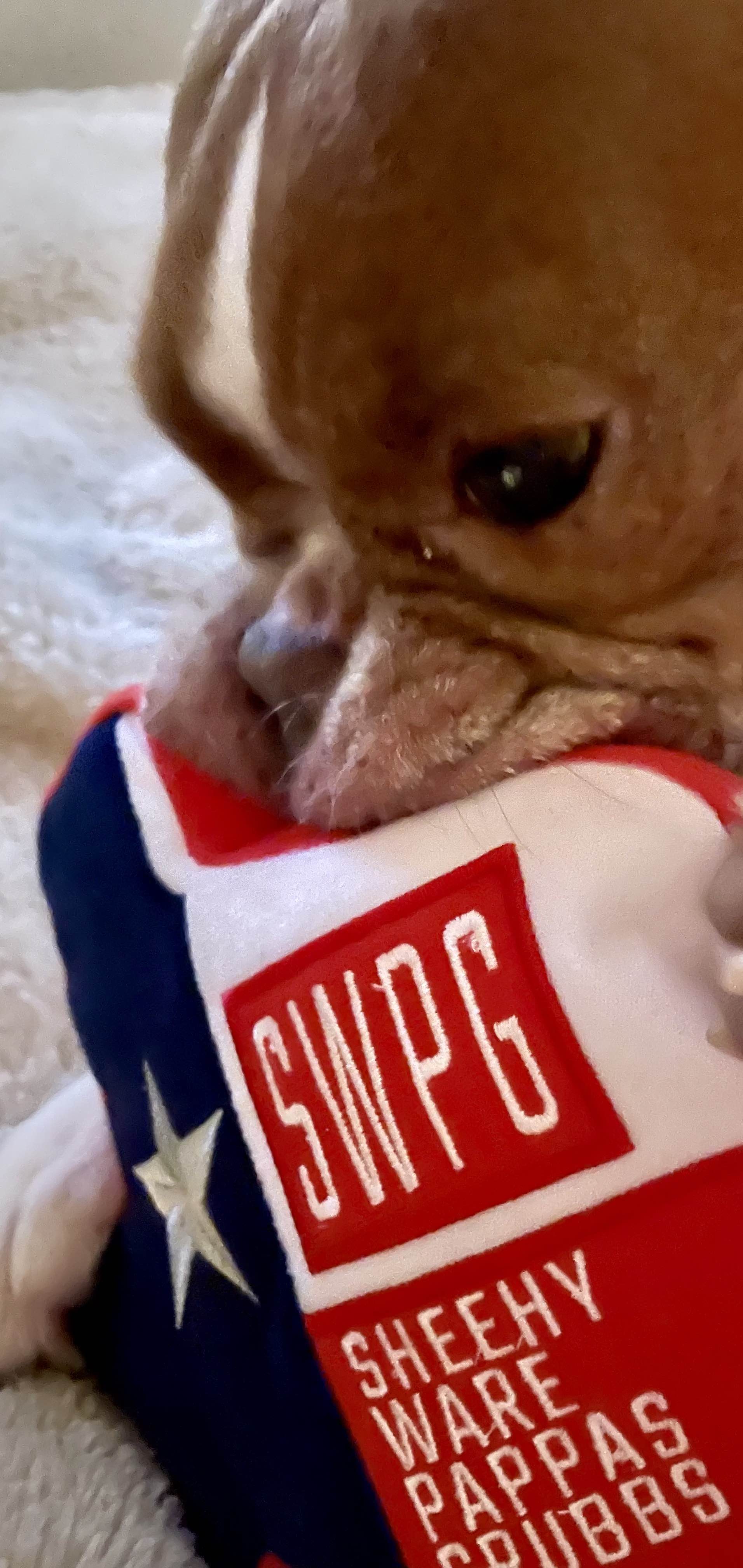 Our furry friend loves some SWPG!